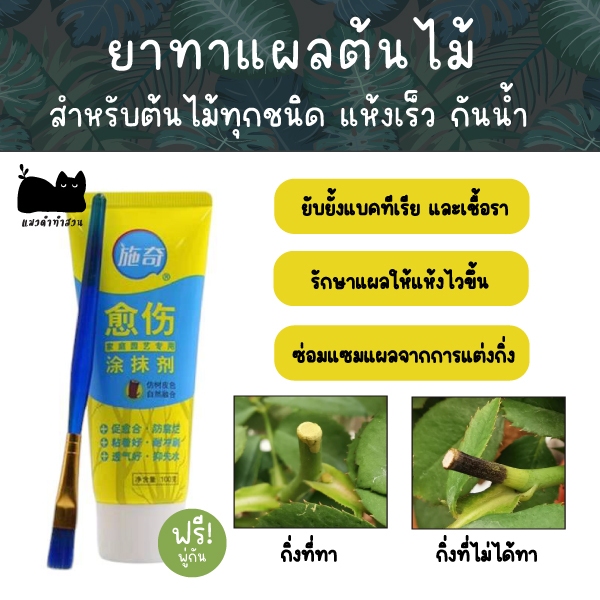 ยาทาแผลต้นไม้ ฟรีพู่กัน ขนาด 100 กรัม ป้องกันการติดเชื้อ ผสานแผลได้เร็วขึ้น ใช้ได้กับต้นไม้ทุกชนิด