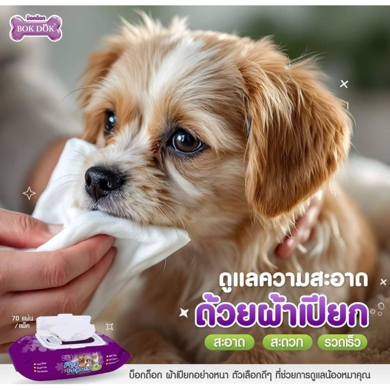 แพ็ค 4 ห่อBokdok ผ้าเปียกทำความสะอาด 70 แผ่นสำหรับสัตว์เลี้ยงโดยเฉพาะ ราคา ถูกที่สุด ดีลบีเคเค แกลเลอรีภาพที่ 2
