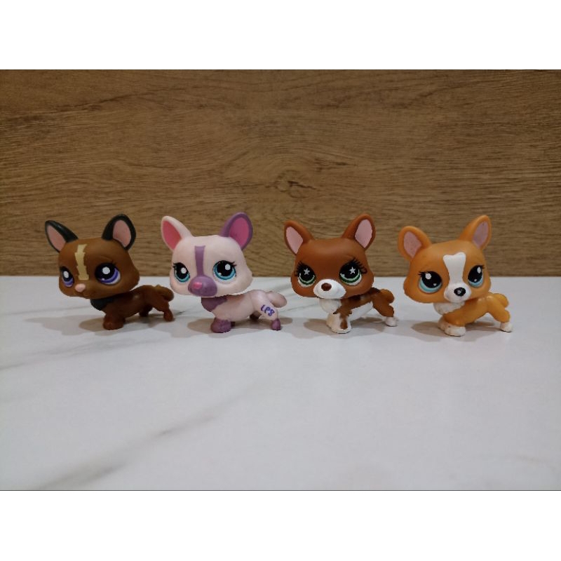 ตัวเล่น lps ของแท้ #littlest pet shop#lps