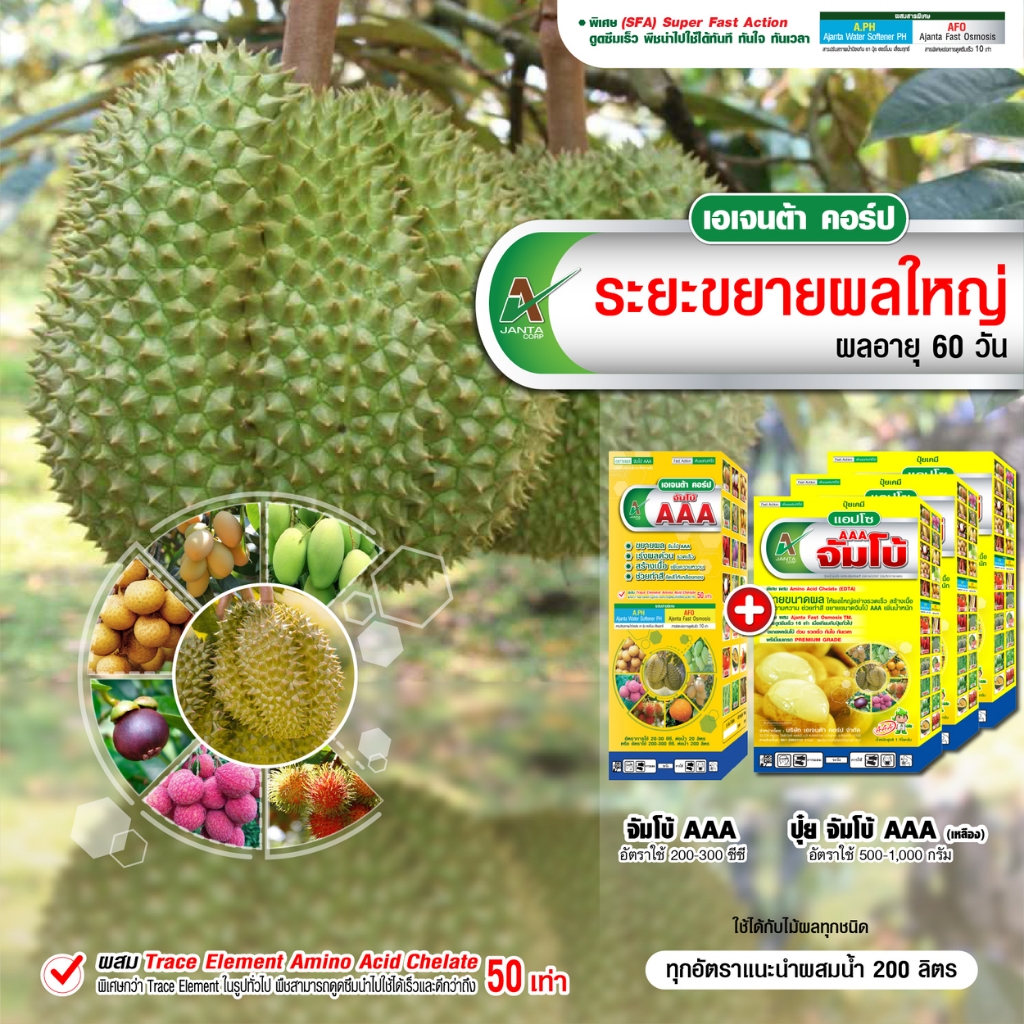 ขยายผลทุเรียน ขยายผลกลาง-ขยายผลใหญ่ เอเจนต้า คอร์ป ทรงสวย พูเต็ม สร้างเนื้อ เข้าสี (1 ลิตร + 3 กิโลกรัม)