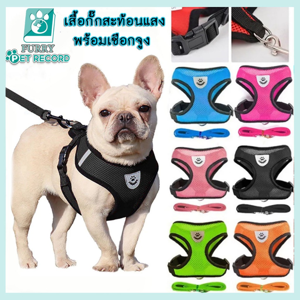 ลดราคาปิดสต็อก สายรัดแมว 1 ชุดสัตว์เลี้ยงเชือกจูงเสื้อกั๊กหน้าอกสายคล้องคอปรับได้ง่ายควบคุม เสื้อรัดอก สายจูงสัตว์เลี้ยง