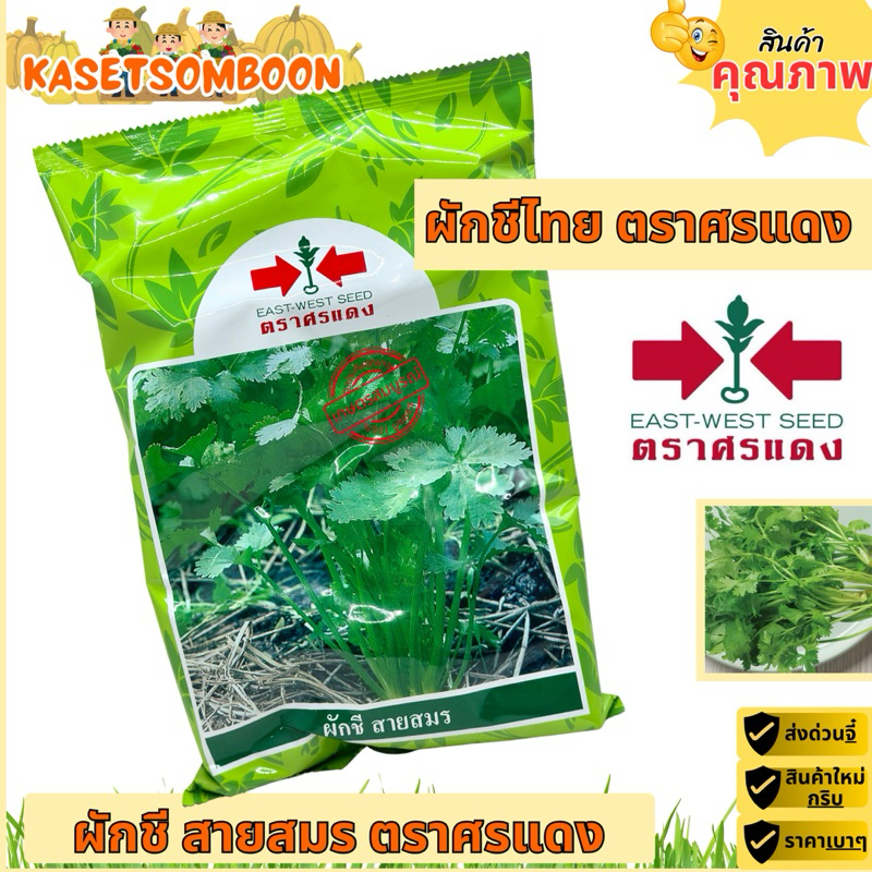 ผักชีสายสมร เมล็ดพันธุ์ผักชีไทย 350 ก. ตราศรแดง