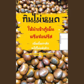 เกาลัดญี่ปุ่นคั่วสด 🌰ใหม่ทุกวันคุ้มสุด❗️คัดเกรดAไม่ปนปากแตก (900g) หวานมัน,ไม่ต้ม,ไม่ใส่น้ำมัน,ล้างสะอาด💧พร้อมทาน
