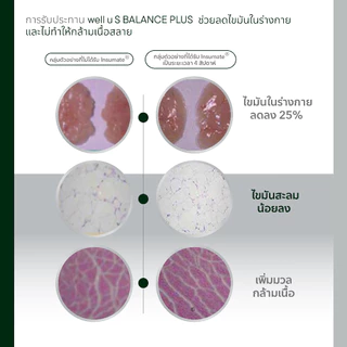 well u S Balance Plus Block แป้ง Burn ไขมัน Balance น้ำตาล เพื่อสุขภาพ และหุ่นที่ดีขึ้น
