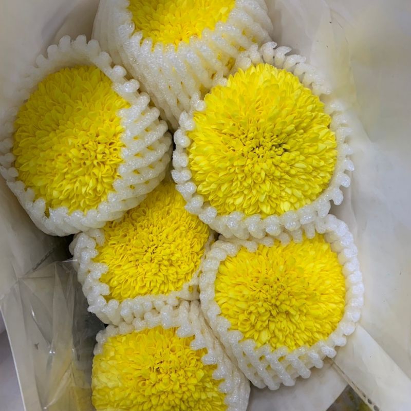 ดอกไม้สด ดอกปิงปองนำเข้า1กำมี10ดอก กรุณาอ่านก่อนสั่ง