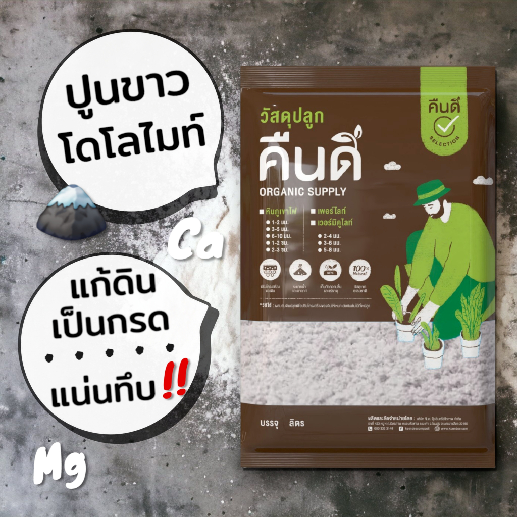 ส่งฟรี ‼️ | ปูนขาว โดโลไมท์ (Dolomite) บรรจุ 5 กก ปรับปรุงดิน ฆ่าเชื้อ แก้ดินเปรี้ยว เพิ่มธาตุ Ca Mg
