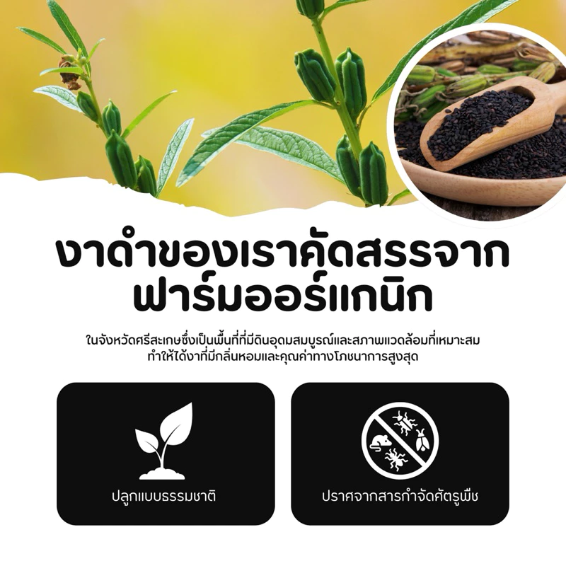 งาดำคั่วบด ออร์แกนิค 100% โปรตีนสูง บำรุงร่างกาย ทุกวัย 100g thumbnail 5