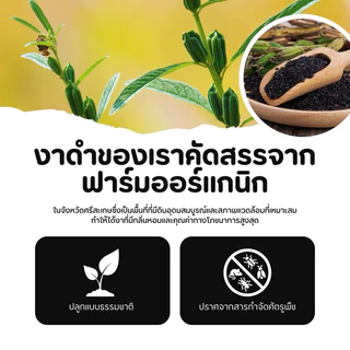 งาดำคั่วบด ออร์แกนิค 100% โปรตีนสูง แคลเซียม ขนาด 100 g