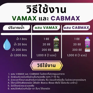 ชุด 1 แถม 1 (ปุ๋ยธาตุรวม VAMAX + CABMAX แคลเซียมโบรอน) ปลอดภัยขึ้นทะเบียนถูกต้อง (V1+C1)