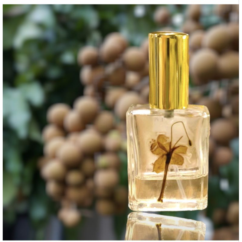 Ayada เพอร์ฟูมออยล์ ลำไยหอม lamyai valley