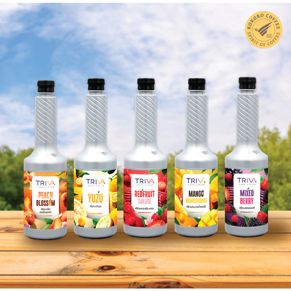 TRIVA Fruit Based (ผลิตภัณฑ์สมูทตี้และแต่งหน้าขนม) น้ำผลไม้เข้มข้น