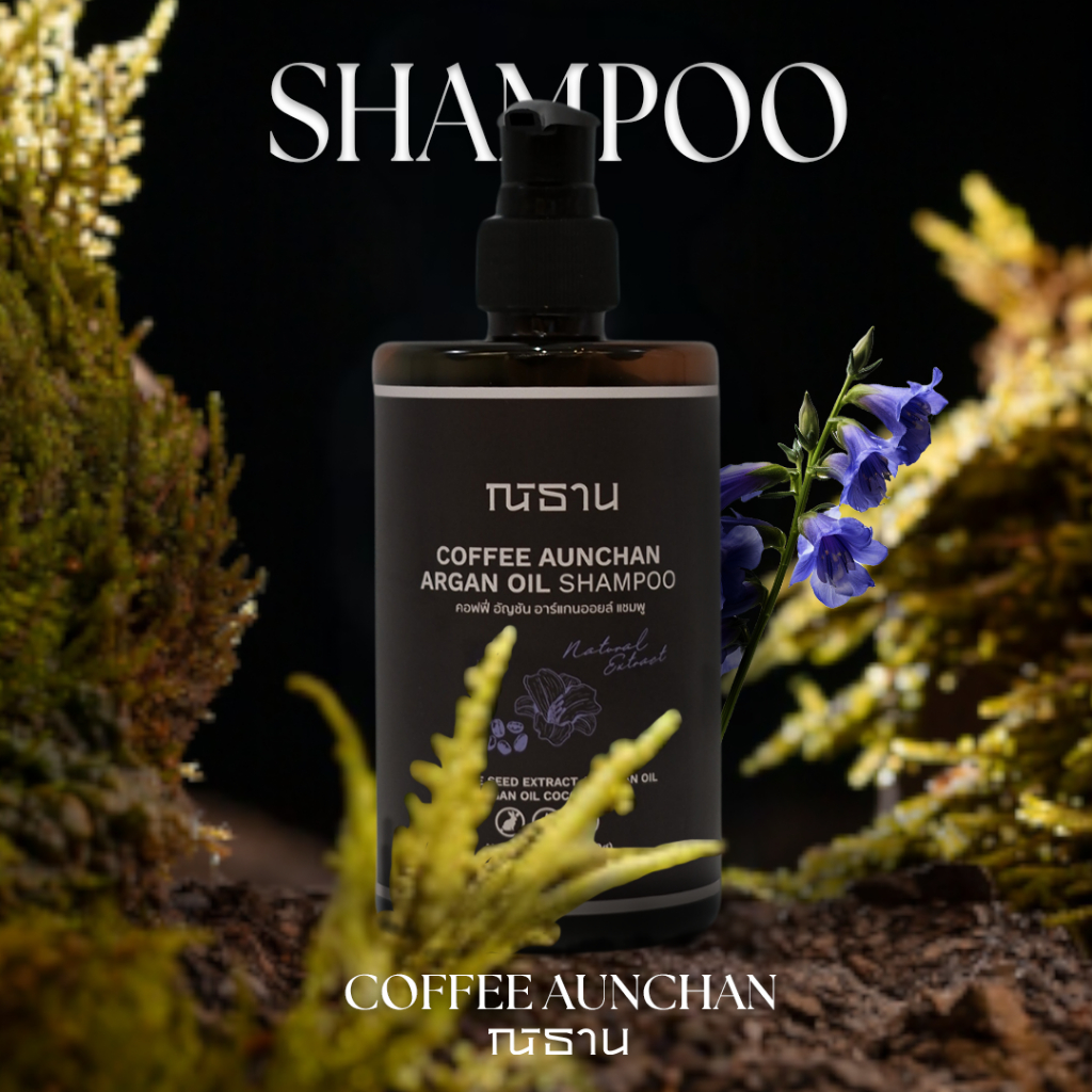 NITAN Coffee Anchan Argen Oil Shampoo