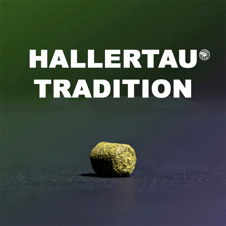 ฮอป ทำเบียร์ Hallertau Tradition Hops T90 แบรนด์ Haas (57g. , 28g.)