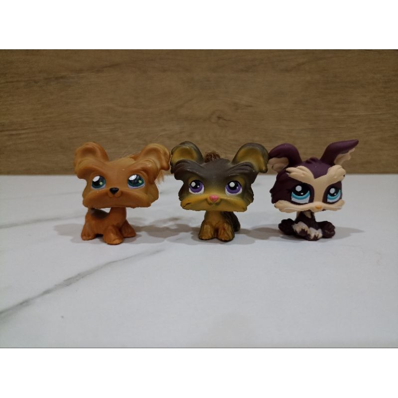 ตัวเล่น lps ของแท้ #littlest pet shop#lps