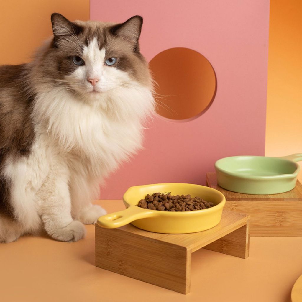 Restock ชามเซรามิค Lovely อาหารแมว ชามแมว จานอาหารสัตว์เลี้ยง เซรามิก Bowl
