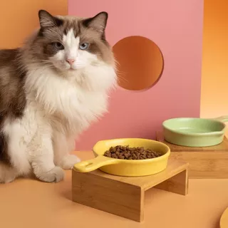 Restock ชามเซรามิค Lovely อาหารแมว ชามแมว จานอาหารสัตว์เลี้ยง เซรามิก Bowl