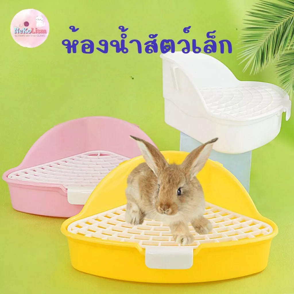 ห้องน้ำกระต่าย ห้องน้ำหนู ชินชิล่า หนูตะเภา Small Pet Rabbit
