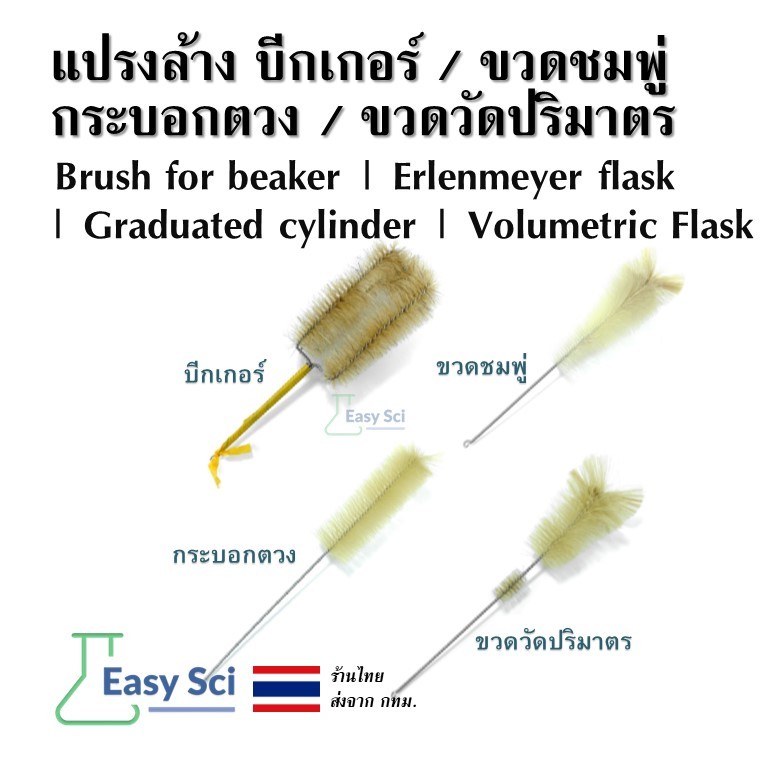 แปรงล้าง บีกเกอร์ ขวดชมพู่ กระบอกตวง ขวดวัดปริมาตร Brush for beaker Erlenmeyer flask Graduated cylinder Volumetric Flask