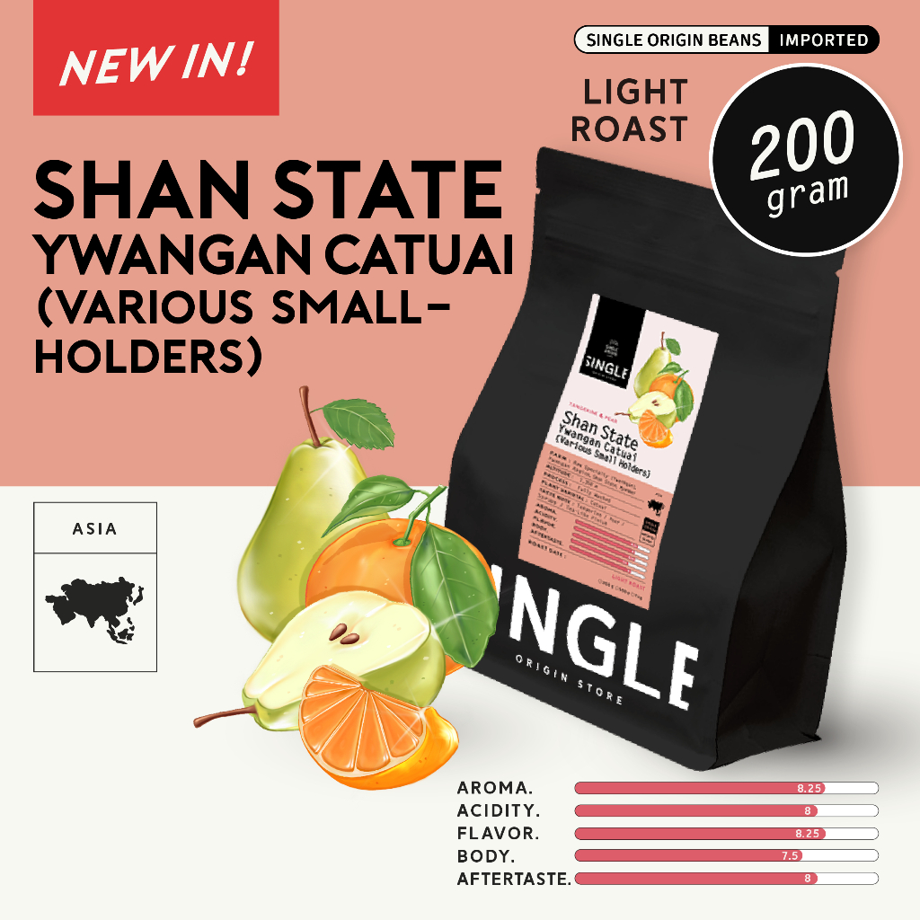 เมล็ดกาแฟคั่วอ่อน Shan State Ywangan Catuai (Various Smallholders)