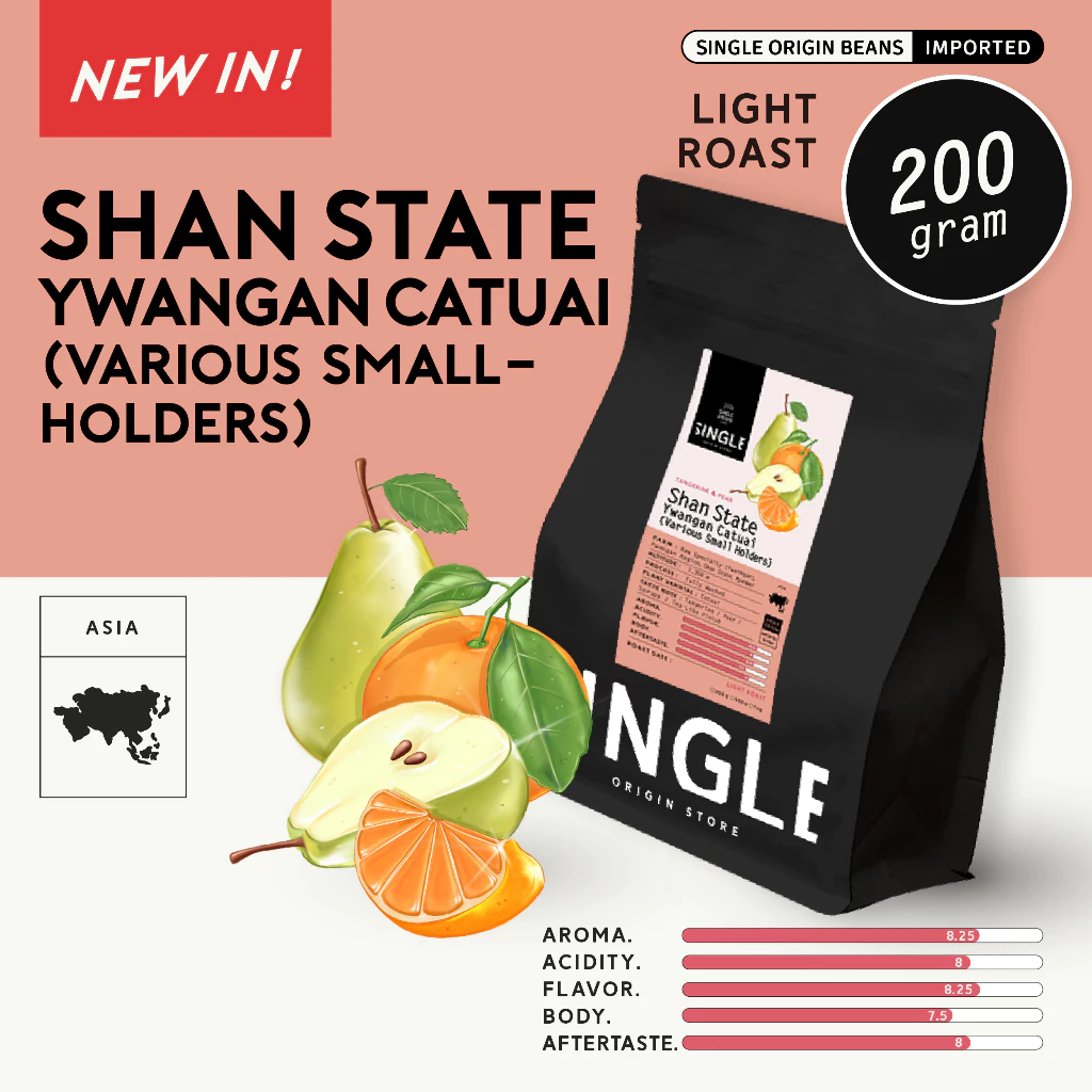 เมล็ดกาแฟคั่วอ่อน Shan State Ywangan Catuai (Various Smallholders)