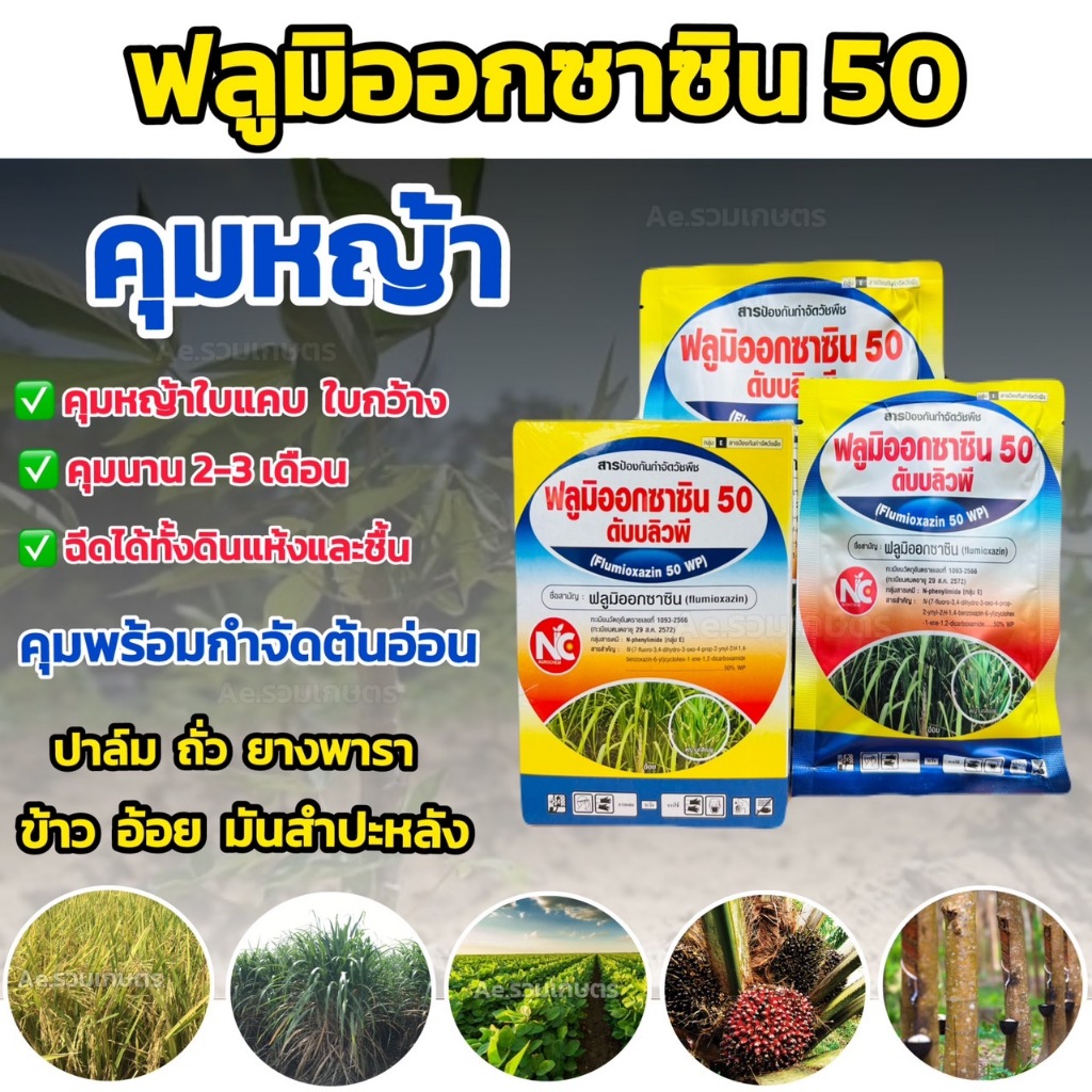 ยาคุมหญ้า ฟลูมิออกซาซิน 50 % WP คุมแห้ง ซื้น (คุมนาน2-3เดือน) คุมหญ้าในนาข้าว คุมหญ้าในอ้อย คุมหญ้าในมันสำปะหลัง ตราNC