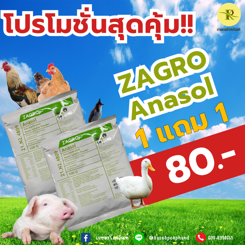 โปรโมชั่น 1แถม1 ZAGRO Anasol  ซาโกร อาหารเสริมวิตามิน แร่ธาตุสำหรับสัตว์ ใช้สำหรับ ไก่ เป็ด และสุกร 
