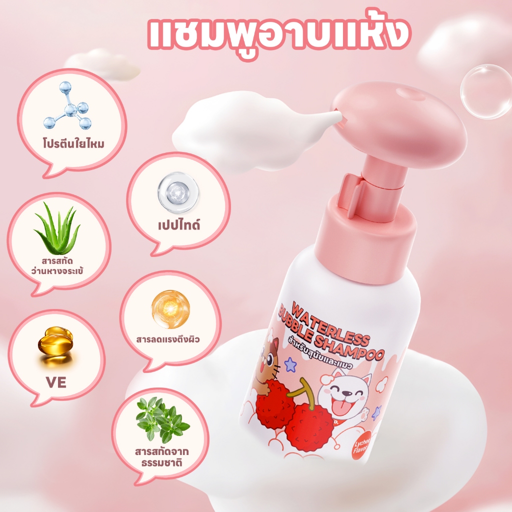 รูปภาพ 5