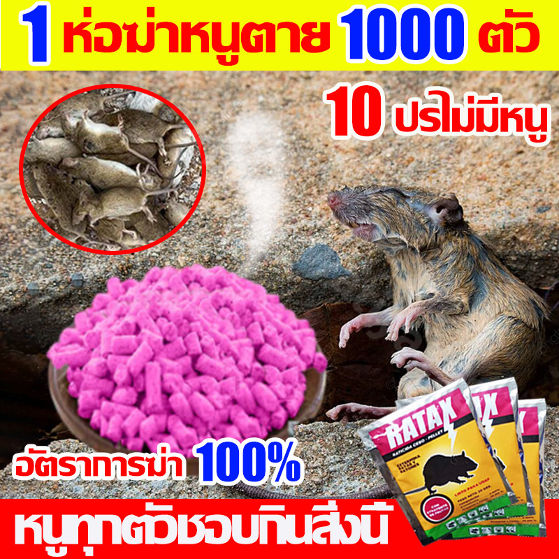 ปลอดหนูตลอดทั้งปี ยาเบื่อ หนู ตายไม่มีกลิ่น ตายไม่มีกลิ่น ยาเบื่อหนูแห้ง เหยื่อกำจัดหนู ขนมหนูตายแห้ง ยาเบื่อหนูแรง