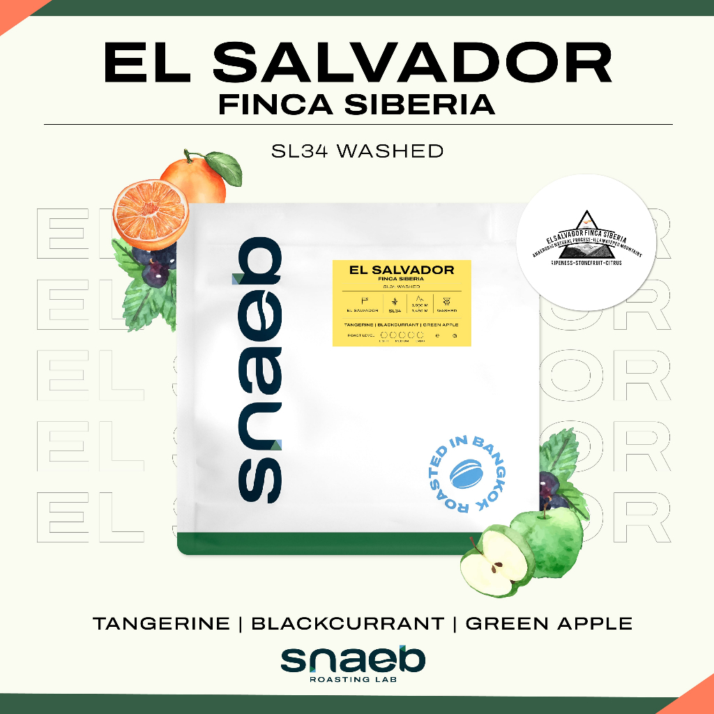 EL SALVADOR Finca Siberia SL34 Washed | เมล็ดกาแฟคั่ว คั่วอ่อน Snaeb Coffee