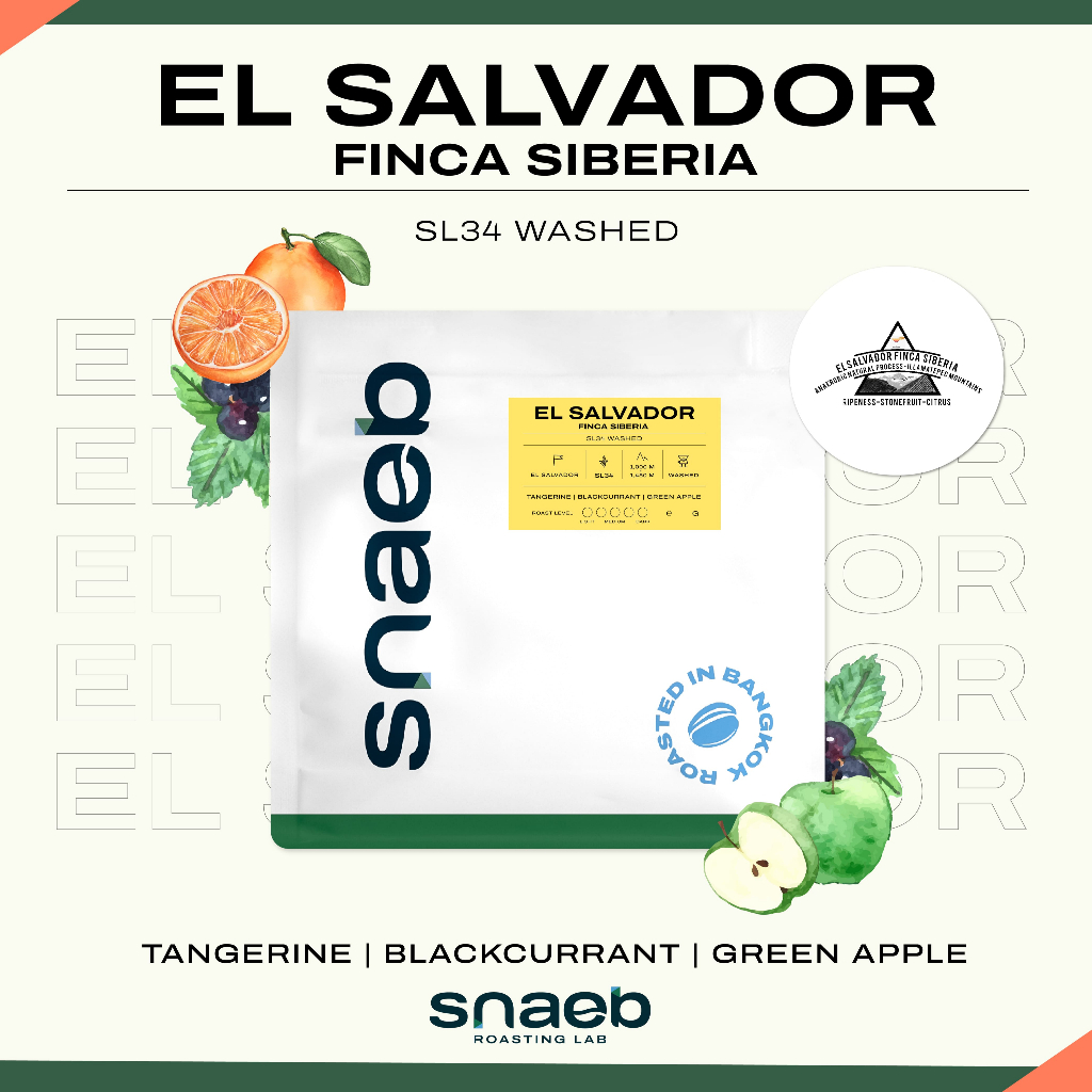 EL SALVADOR Finca Siberia  SL34 Washed  | เมล็ดกาแฟคั่ว คั่วอ่อน Snaeb Coffee