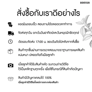 เมล็ดกาแฟ ศรีนวล อาราบิก้า+โรบัสต้า 60/40 คั่วกลางค่อนเข้ม (Rangsan)