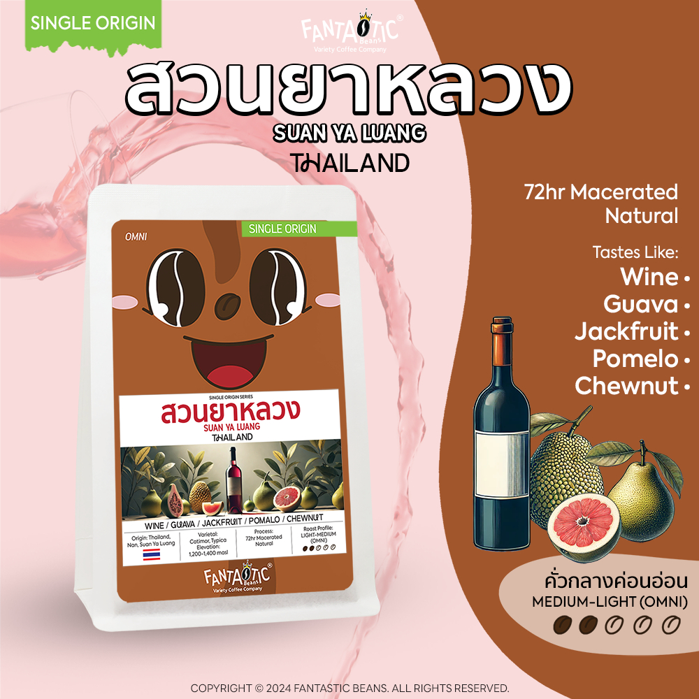 เมล็ดกาแฟ Thailand สวนยาหลวง Suan Ya Luang (คั่วกลางอ่อน) FANTASTIC Beans Coffee