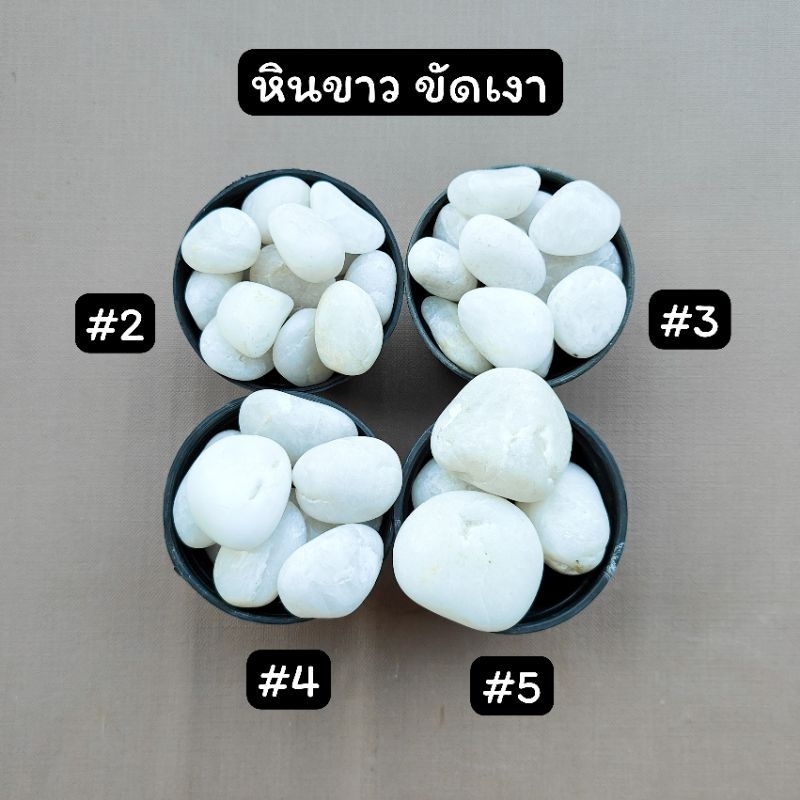 หินขาวขัดเงา ขาวเงา หินโรยกระถางต้นไม้ หินตู้ปลา หินแต่งสวน
