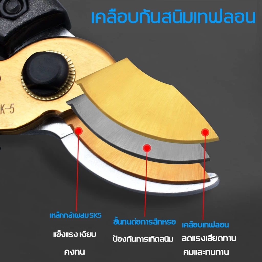 รูปภาพ 4