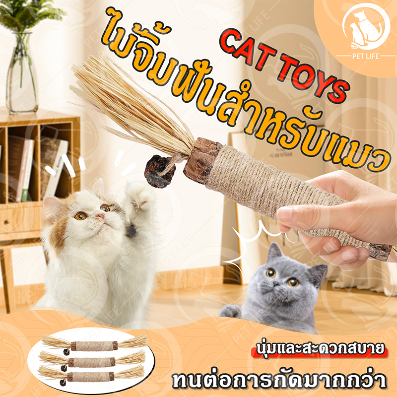 PET LIFE ไม้แมวเมา อันใหญ่ ไม้ขัดฟันแมว ของเล่นแมว ลดคราบหินปูน กัญชาแมว ของเล่นทำความสะอาดฟันแมว หวายทำความสะอาดฟัน