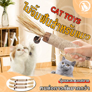 PET LIFE ไม้แมวเมา อันใหญ่ ไม้ขัดฟันแมว ของเล่นแมว ลดคราบหินปูน กัญชาแมว ของเล่นทำความสะอาดฟันแมว หวายทำความสะอาดฟัน