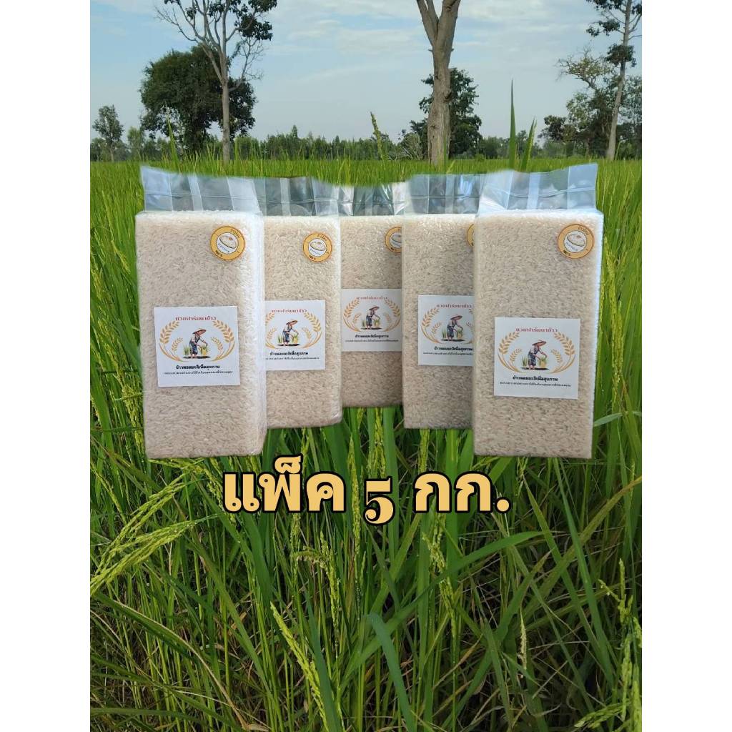 ข้าวหอมมะลิ ใหม่ ข้าวหอมมะลิสุรินทร์ 100% ข้าวอินทรีย์ แพ็ค 5 กก.ข้าวใหม่ต้นฤดูปลายปี 2024