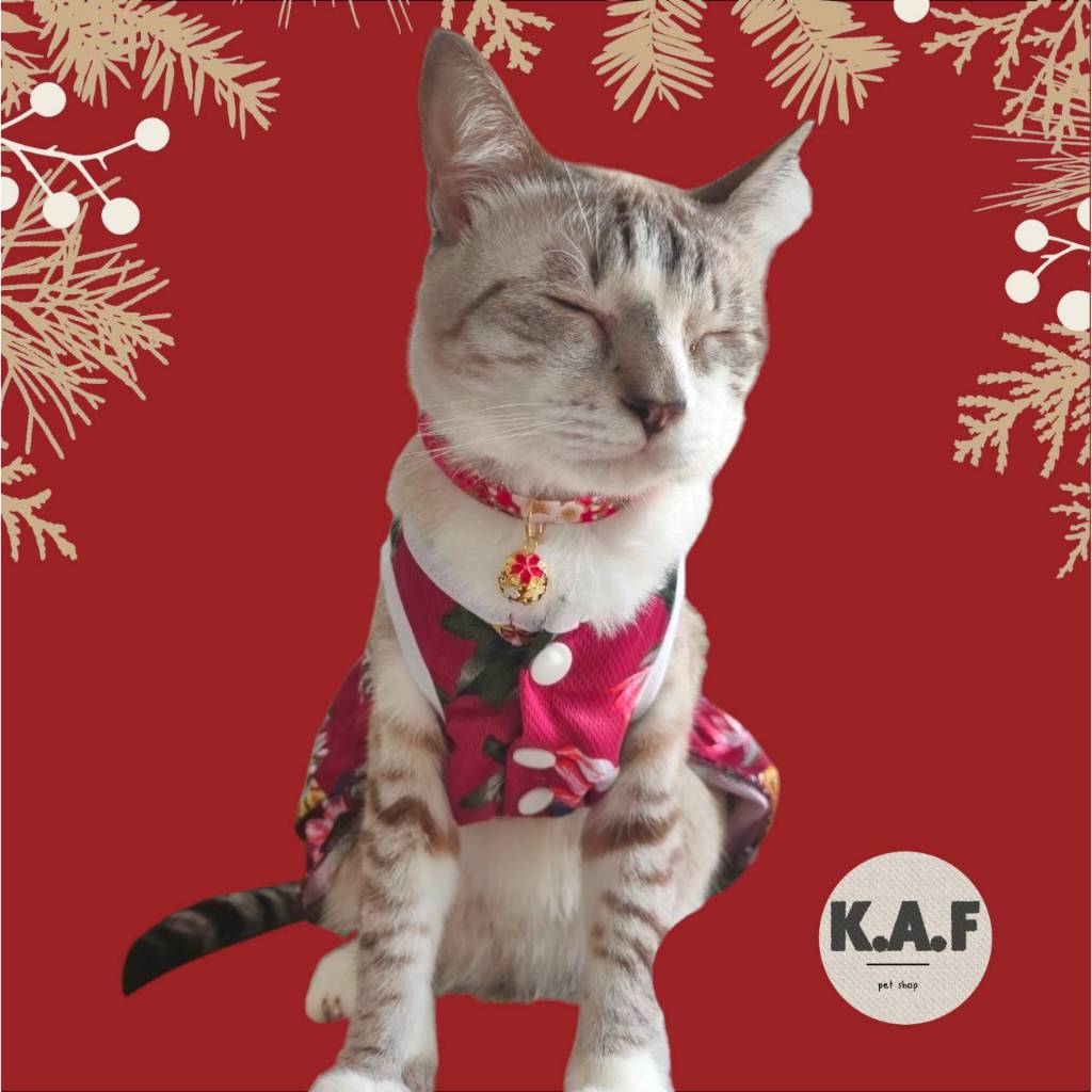 (A04)(พร้อมส่งจากไทย!) ปลอกคอนิรภัย ธีมตรุษจีน สำหรับสัตว์เลี้ยง - รูปที่ 6