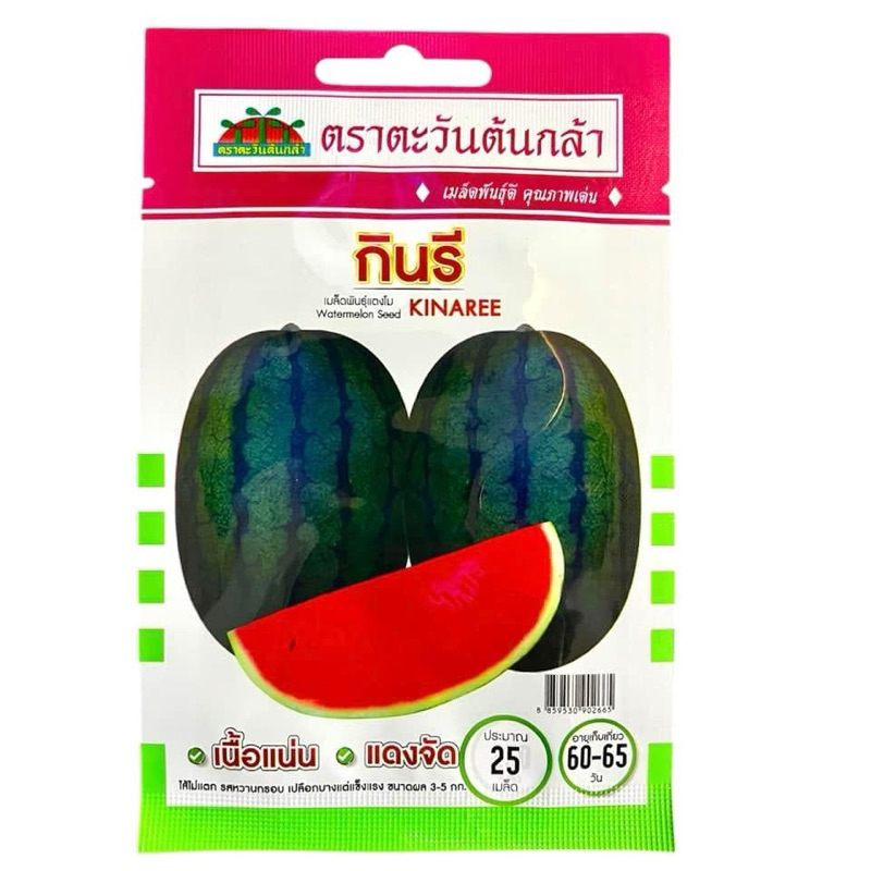 เมล็ด แตงโม กินรี เนื้อแน่น (ประมาณ 25 เมล็ด)