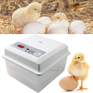 ตู้ฟักไข่ถูกๆ ตู้ฟักไข่ 16 ฟอง อุปกรณ์ตู้ฟักไข่ รับประกันสิน…