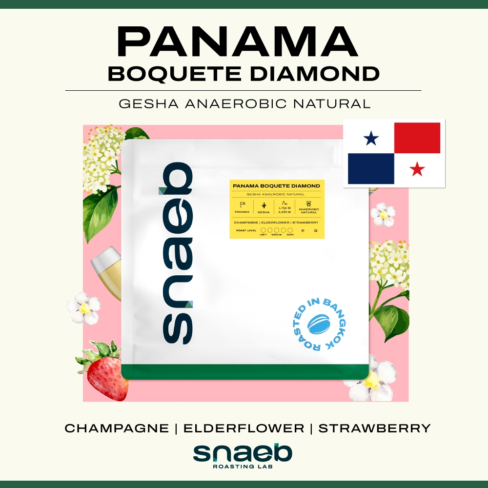 Panama Boquete Diamond Gesha Anaerobic Natural | เมล็ดกาแฟคั่ว คั่วอ่อน Snaeb Coffee