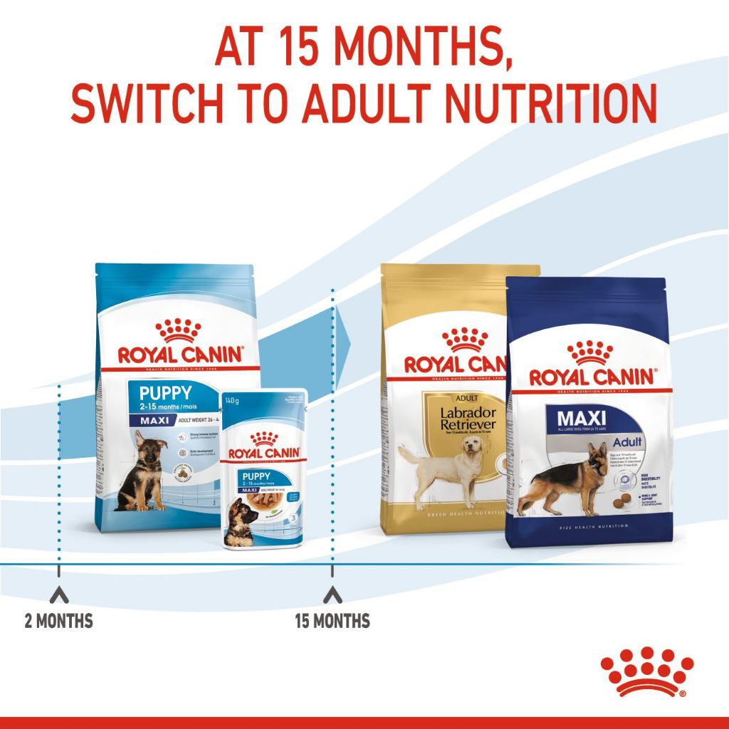 ROYAL CANIN MAXI PUPPY ลูกสุนัขอายุ 2ถึง15 เดือน พันธ์ใหญ่ 26 44 kg. 4 กิโลกรัม{อาหารสุนัขเม็ด} - รูปที่ 4