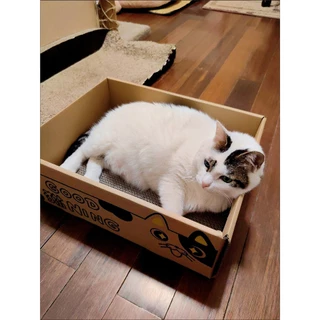 📦ที่ลับเล็บแมว คอนโดแมว บ้านแมว บ้านลังกระดาษแมว ที่ลับเล็บแมว ทีฝนเล็บแมว ของใช้แมว กล่องแมว ของเล่นแมว ที่นอนแมว แมว