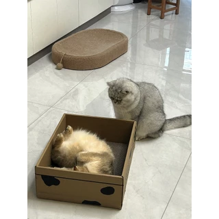 📦ที่ลับเล็บแมว คอนโดแมว บ้านแมว บ้านลังกระดาษแมว ที่ลับเล็บแมว ทีฝนเล็บแมว ของใช้แมว กล่องแมว ของเล่นแมว ที่นอนแมว แมว