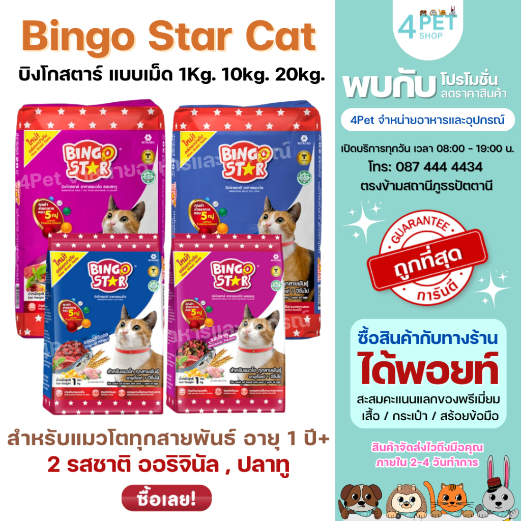 Bingo Star Cat บิงโก สตาร์ อาหารแมวแบบเม็ด 2 รสชาติ สำหรับแมวทานยาก เบื่ออาหารง่าย