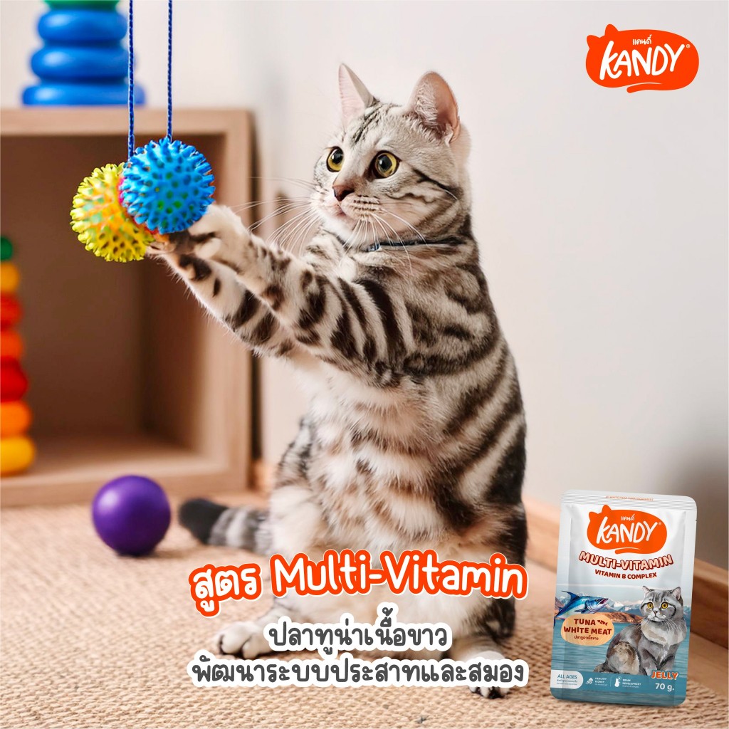 😻 Kandy Kandy อาหารเปียกแมว แคนดี้ ขนาดซองละ 70 กรัม [แบบลัง 48ซอง] - รูปที่ 5