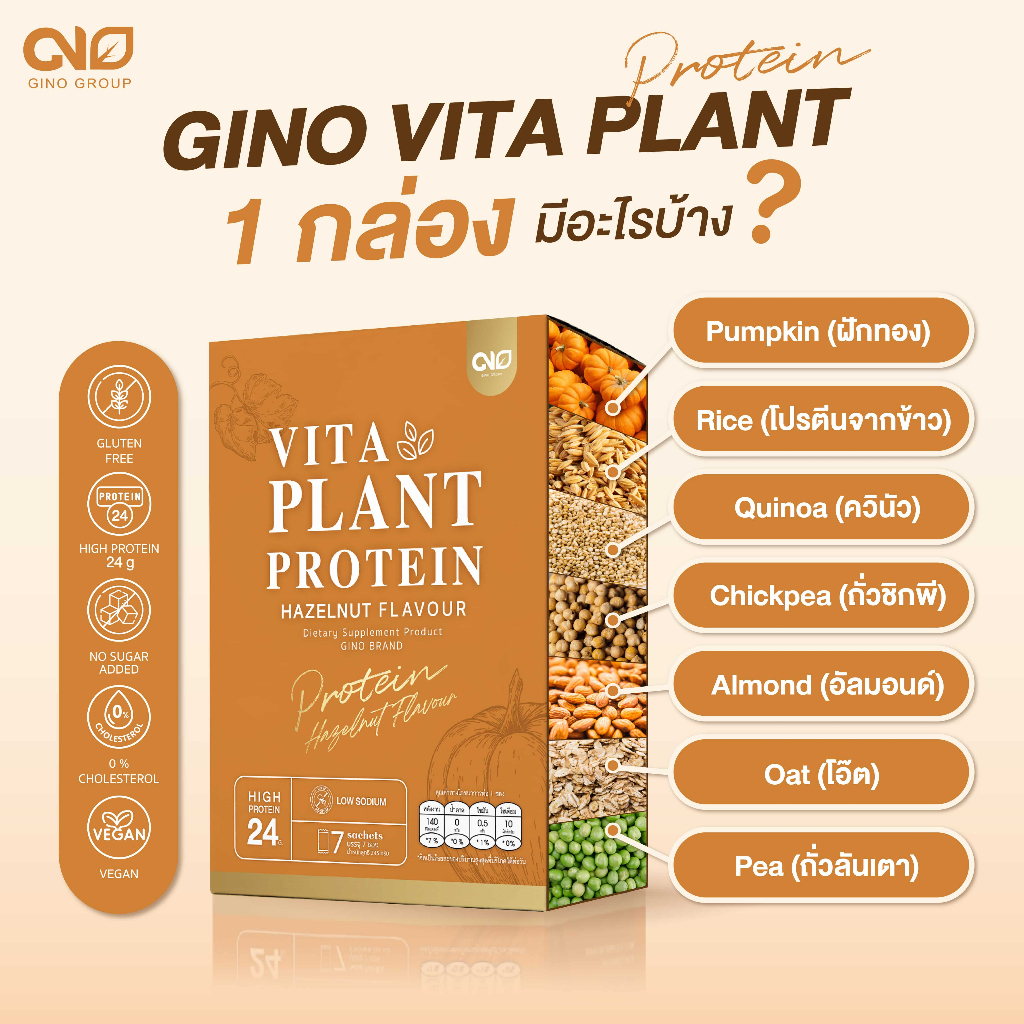 ✅ส่งฟรี✅ Gino Vita Plant โปรตีนพืช ผสมแคลเซียม สำหรับผู้สูงอายุ ทดแทนมื้ออาหาร ไม่มีน้ำตาล