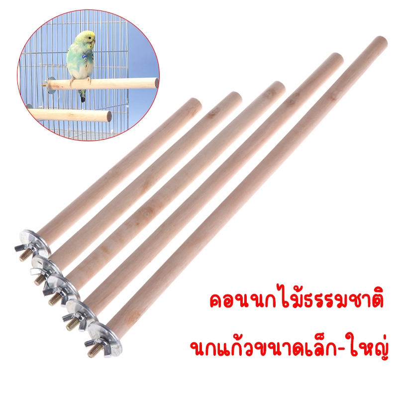 คอนไม้นก ธรรมชาติ คอนนกติดกรง ที่ลับเล็บนก สำหรับนกแก้วทุกชนิด เนื้อไม้ดี ธรรมชาติมาก ปลอดภัย คอนนก ไม้สำหรับนกยืนเกาะ