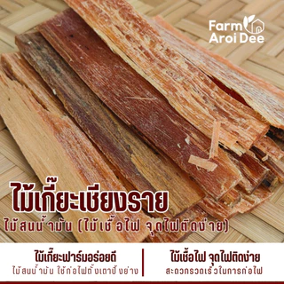 ไม้เกี๊ยะ ติดไฟง่าย(มีกลิ่นหอมไม้สน) ใช้เป็นเชื้อไฟ ไม้สำหรับจุดไฟ ก่อกองไฟ เตาถ่าน เตาฟืน