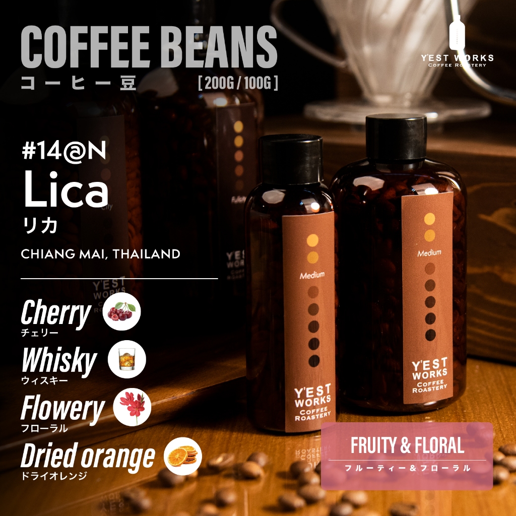เมล็ดกาแฟคั่ว #14-@N Lica เชียงใหม่ By Y'EST WORKS [Coffee beans 1kg/200g/100g]